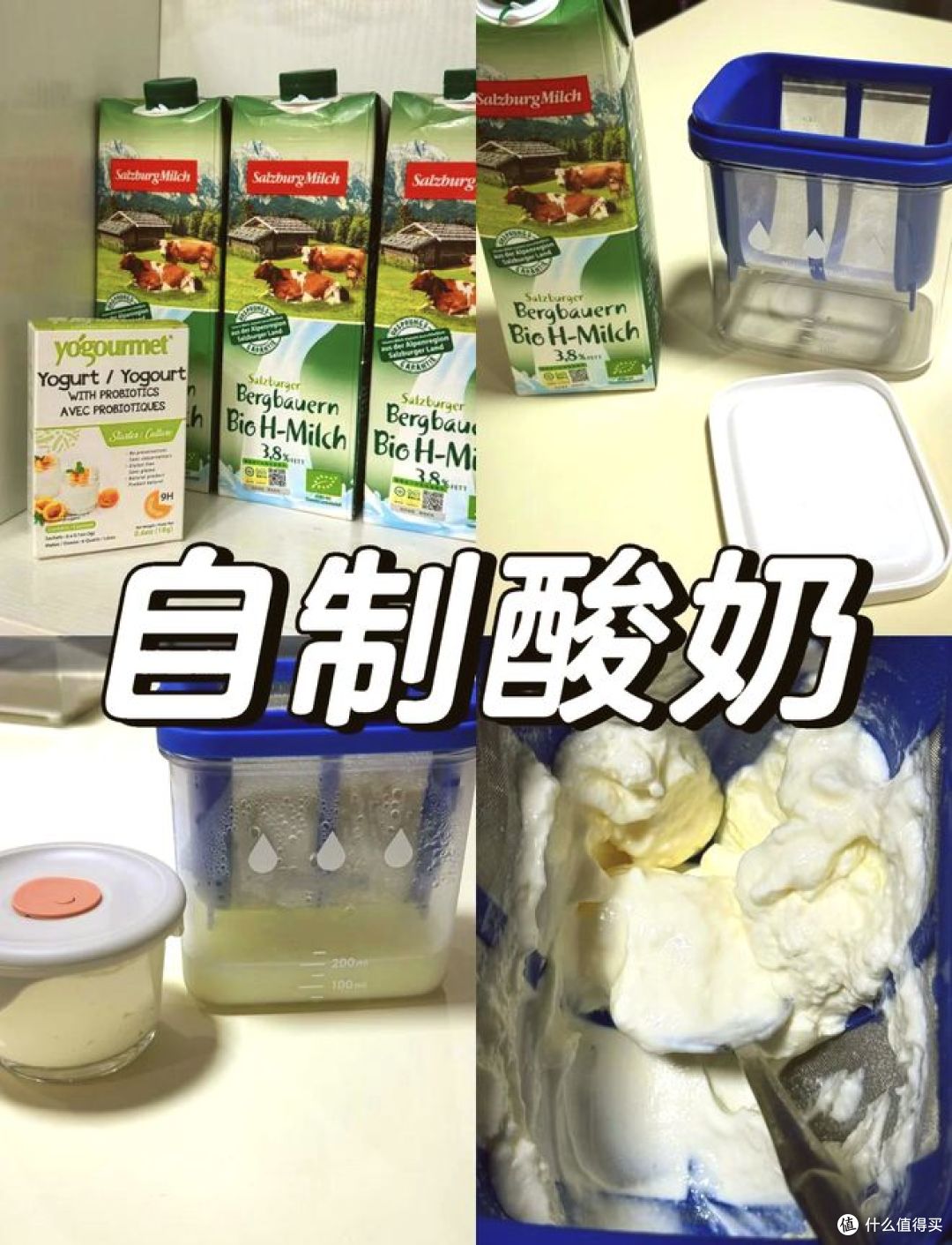 做酸奶用什么发酵菌好?哪种最适合你?快来看!