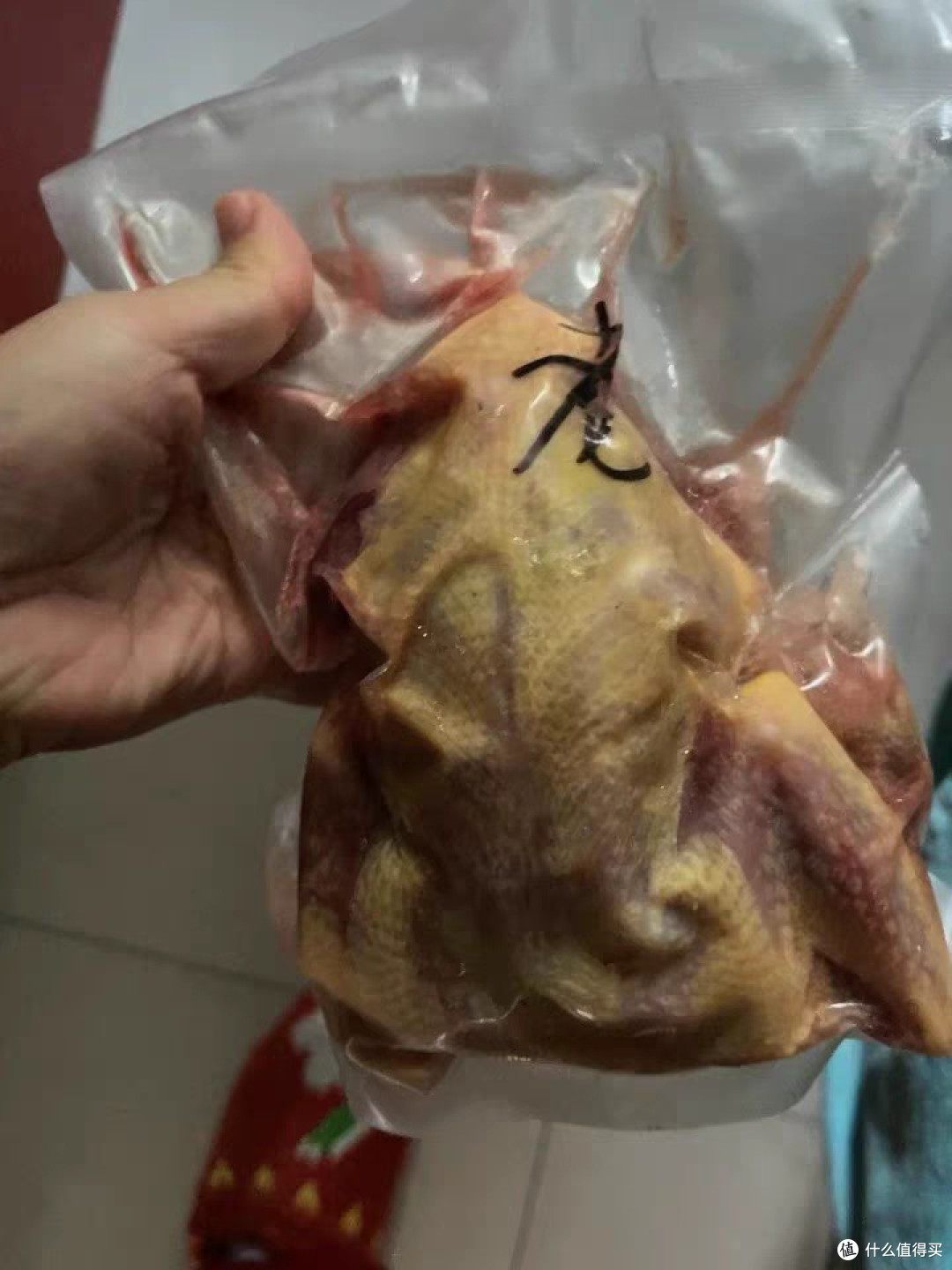 正牌土鸽子三只装推荐