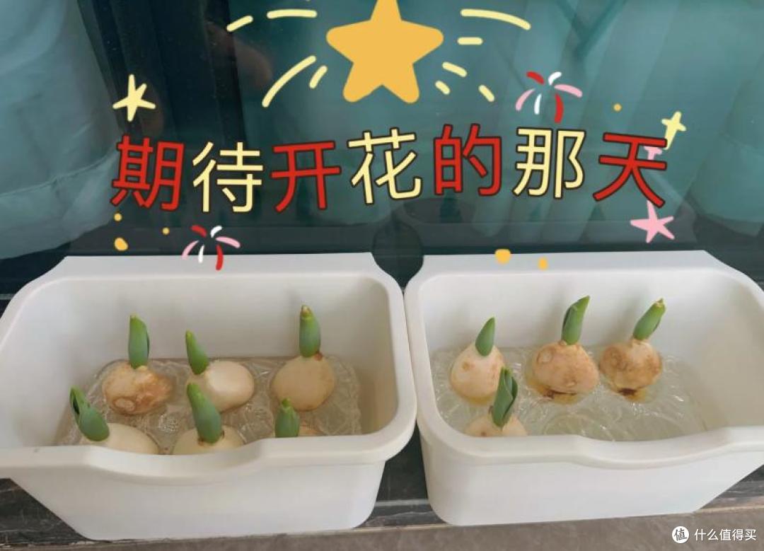 才知道家里这10样闲置物品全是宝！不小心扔了，恨不得立马捡回来