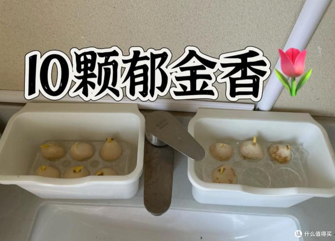 才知道家里这10样闲置物品全是宝！不小心扔了，恨不得立马捡回来
