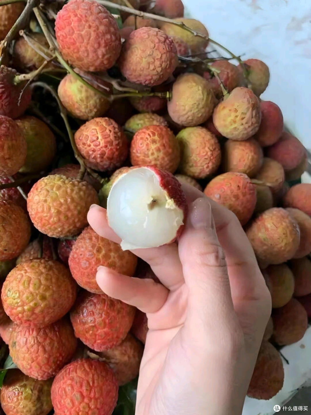 京鲜生广东妃子笑荔枝测评:夏日里的甜蜜邂逅