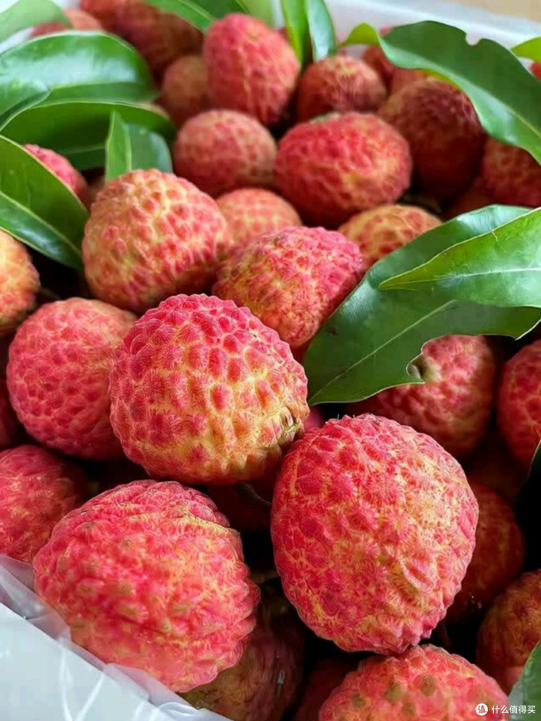 京鲜生广东妃子笑荔枝测评:夏日里的甜蜜邂逅