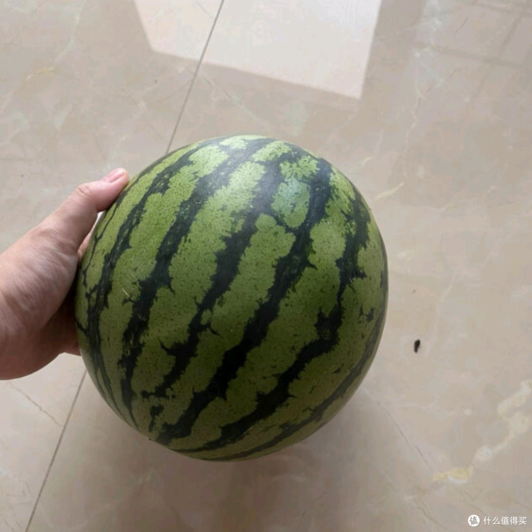 趣尝鲜山西有籽麒麟西瓜测评：夏日解暑神器，清甜多汁