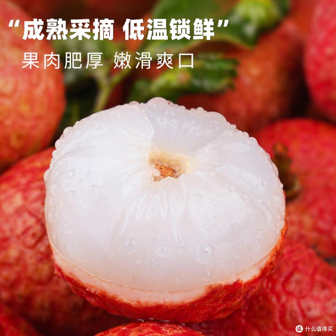 广东茂名桂味荔枝新鲜上市