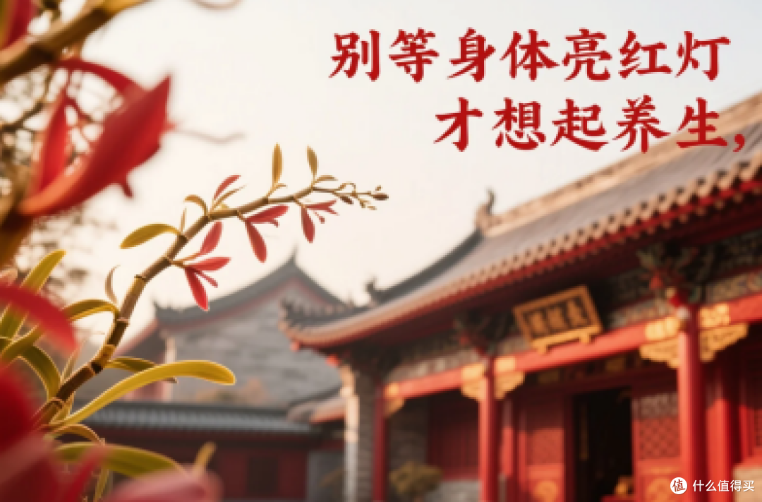 霍山石斛哪款更靠谱?三大品牌品质稳定，源头产地种植放心吃