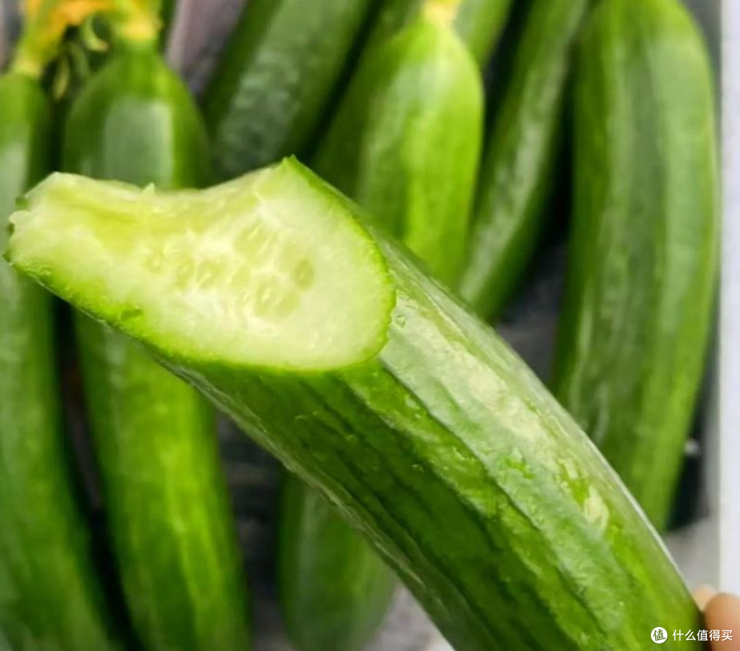 🥒水果黄瓜——夏天救命的神仙瓜!生啃、凉拌,一口下去透心凉