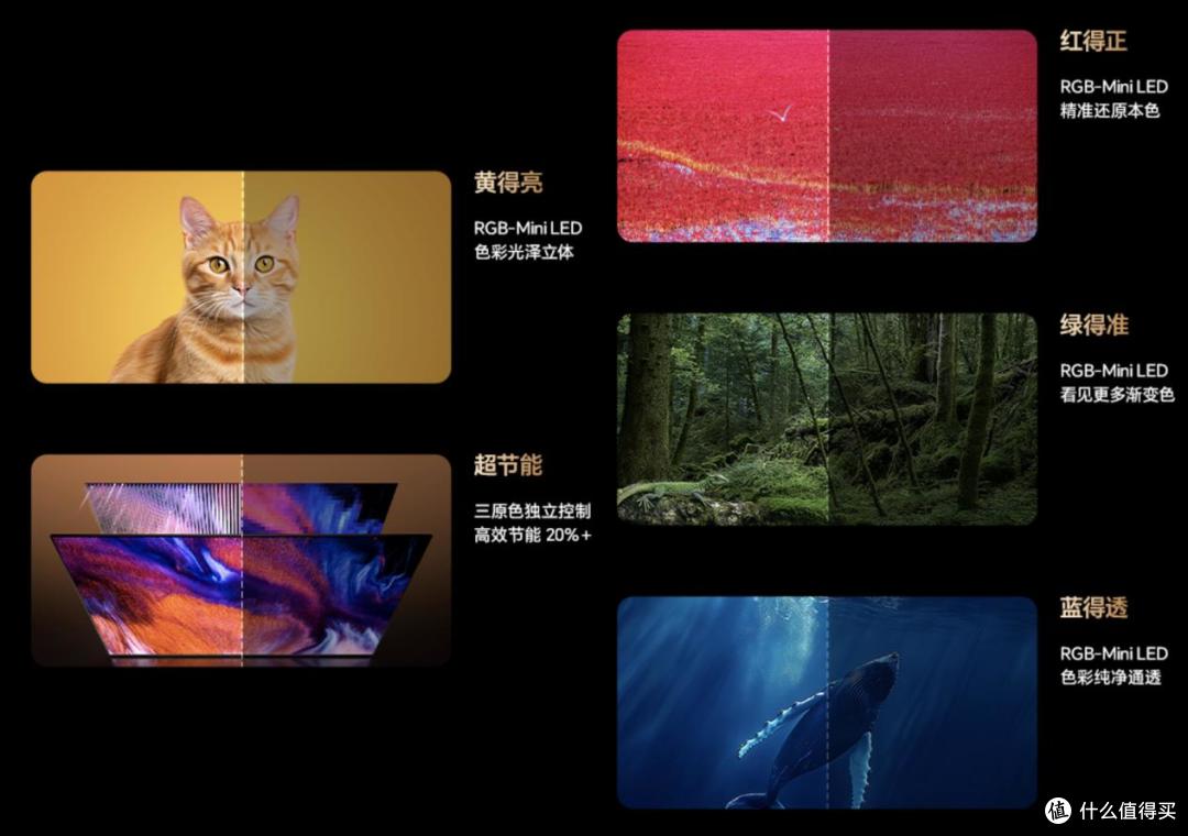 海信百吋RGB-Mini LED,给世俱杯来了点中国震撼
