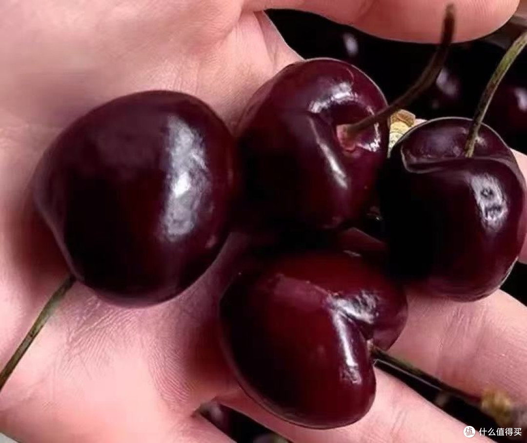 车厘子的营养价值及食用方式