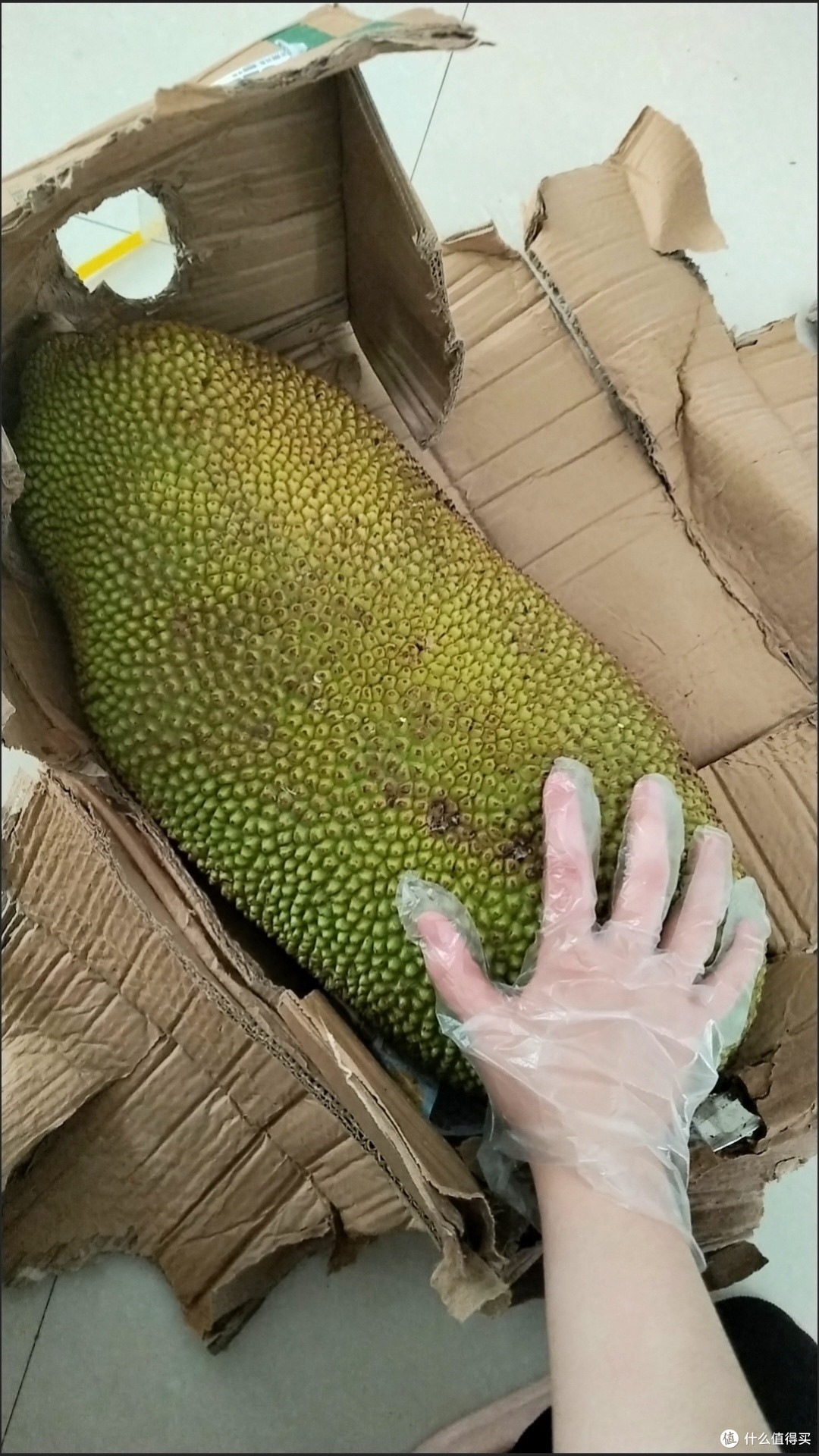 618网购海南三亚黄肉菠萝蜜,安全下车啦
