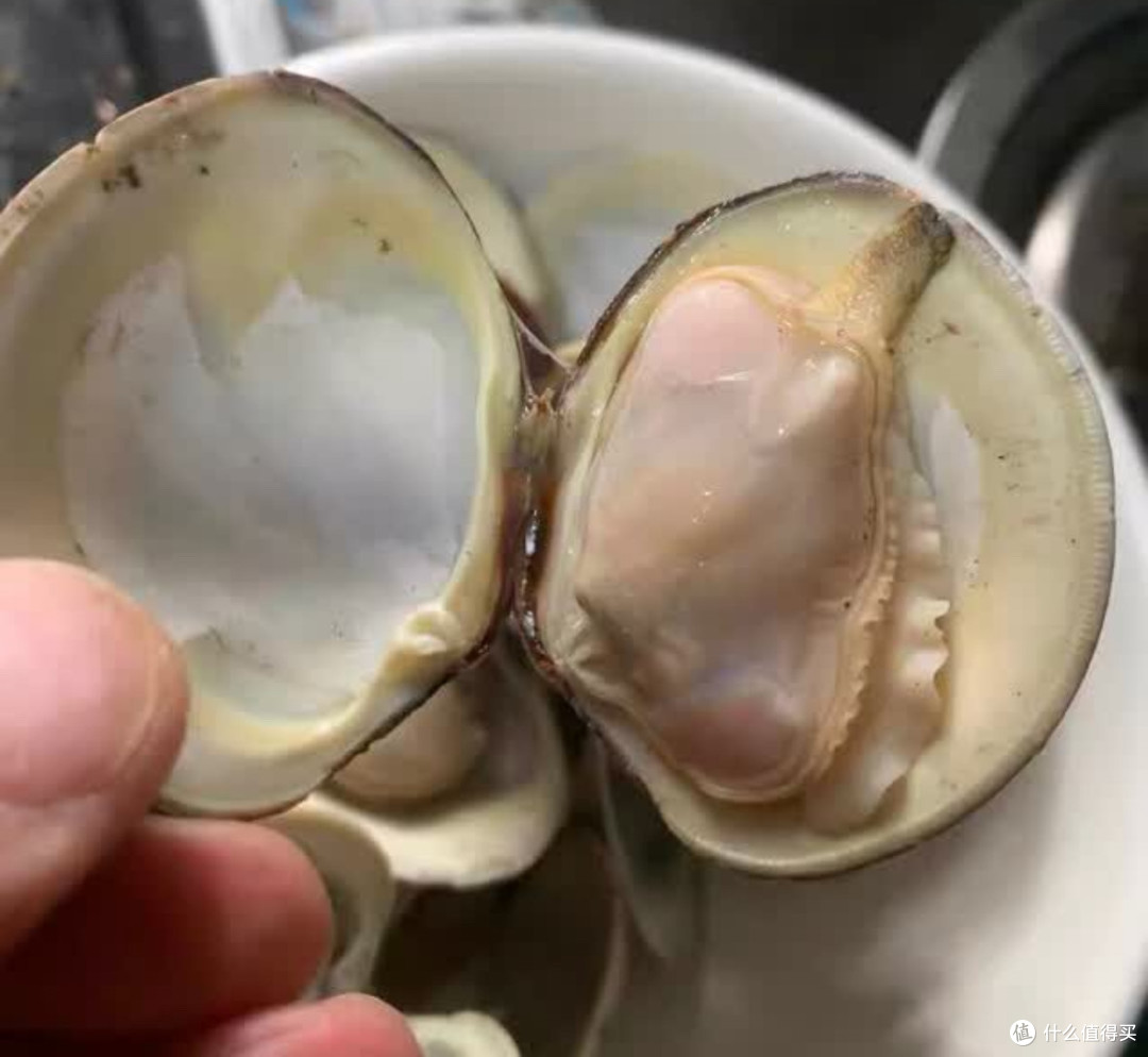 鲜香过瘾!家庭版辣炒花蛤简易教程