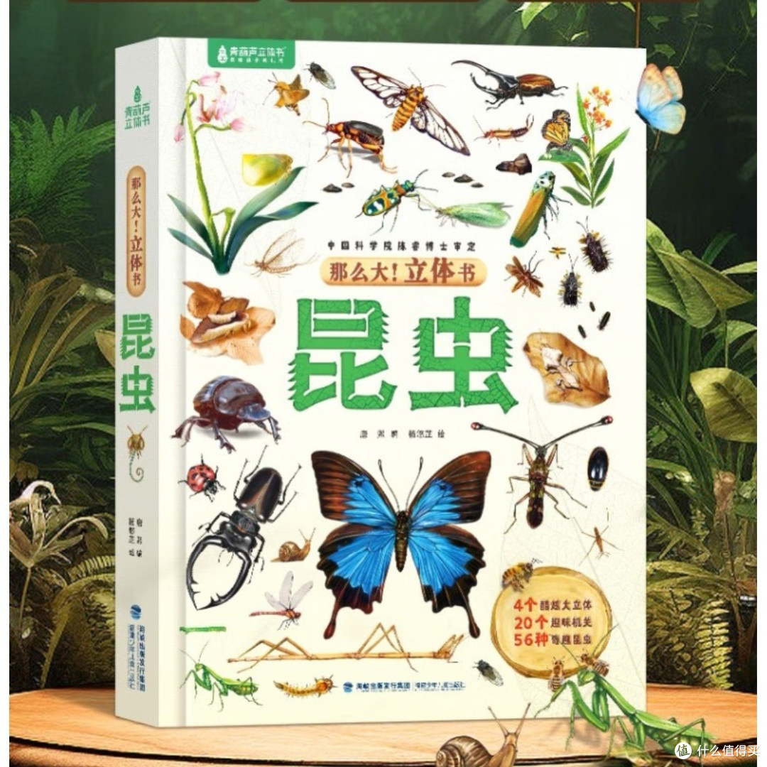孩子超爱的3D昆虫立体书