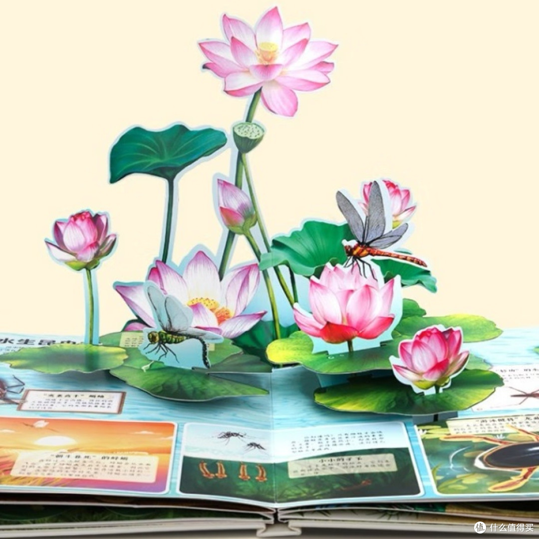 孩子超爱的3D昆虫立体书
