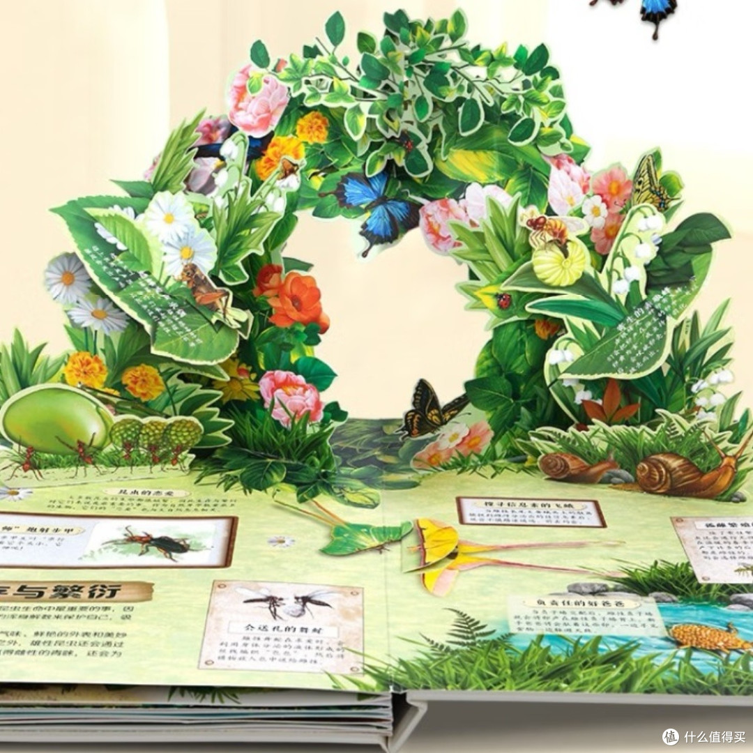 孩子超爱的3D昆虫立体书