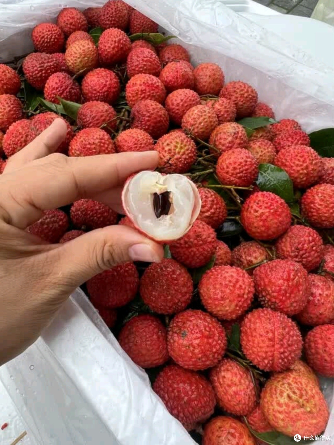田拾记广东增城桂味荔枝测评:夏日里的甜蜜馈赠