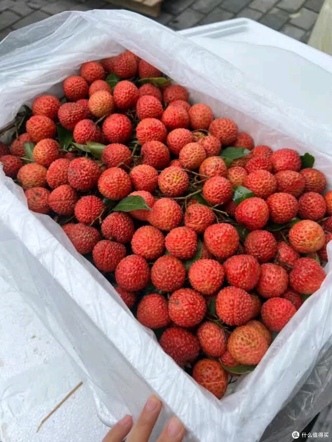 田拾记广东增城桂味荔枝测评:夏日里的甜蜜馈赠