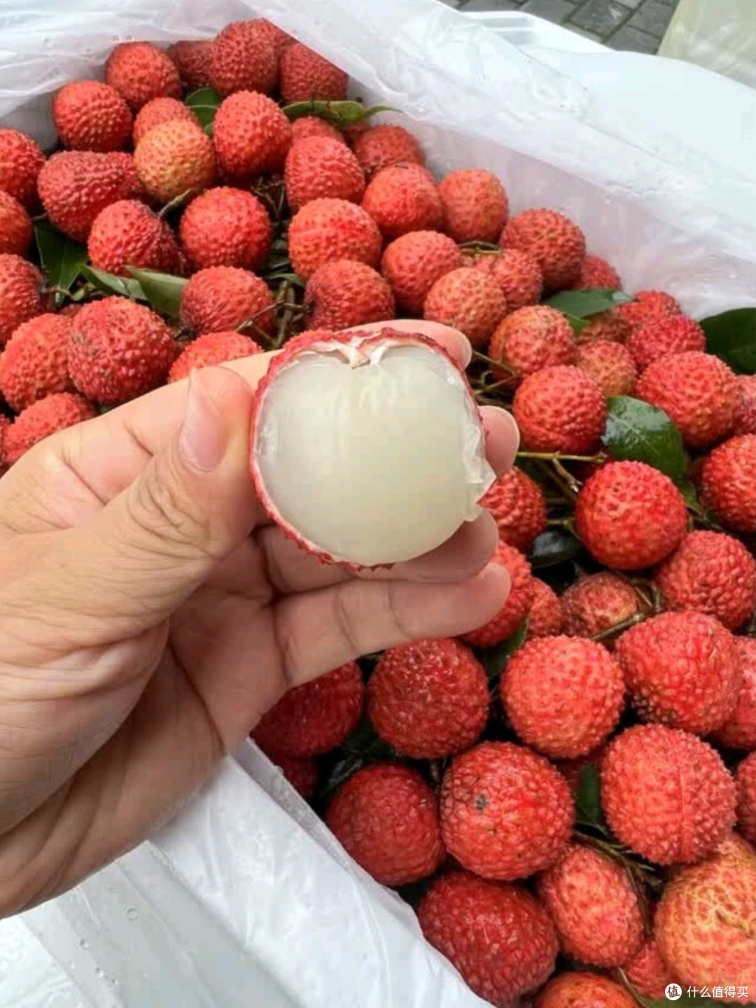 田拾记广东增城桂味荔枝测评:夏日里的甜蜜馈赠