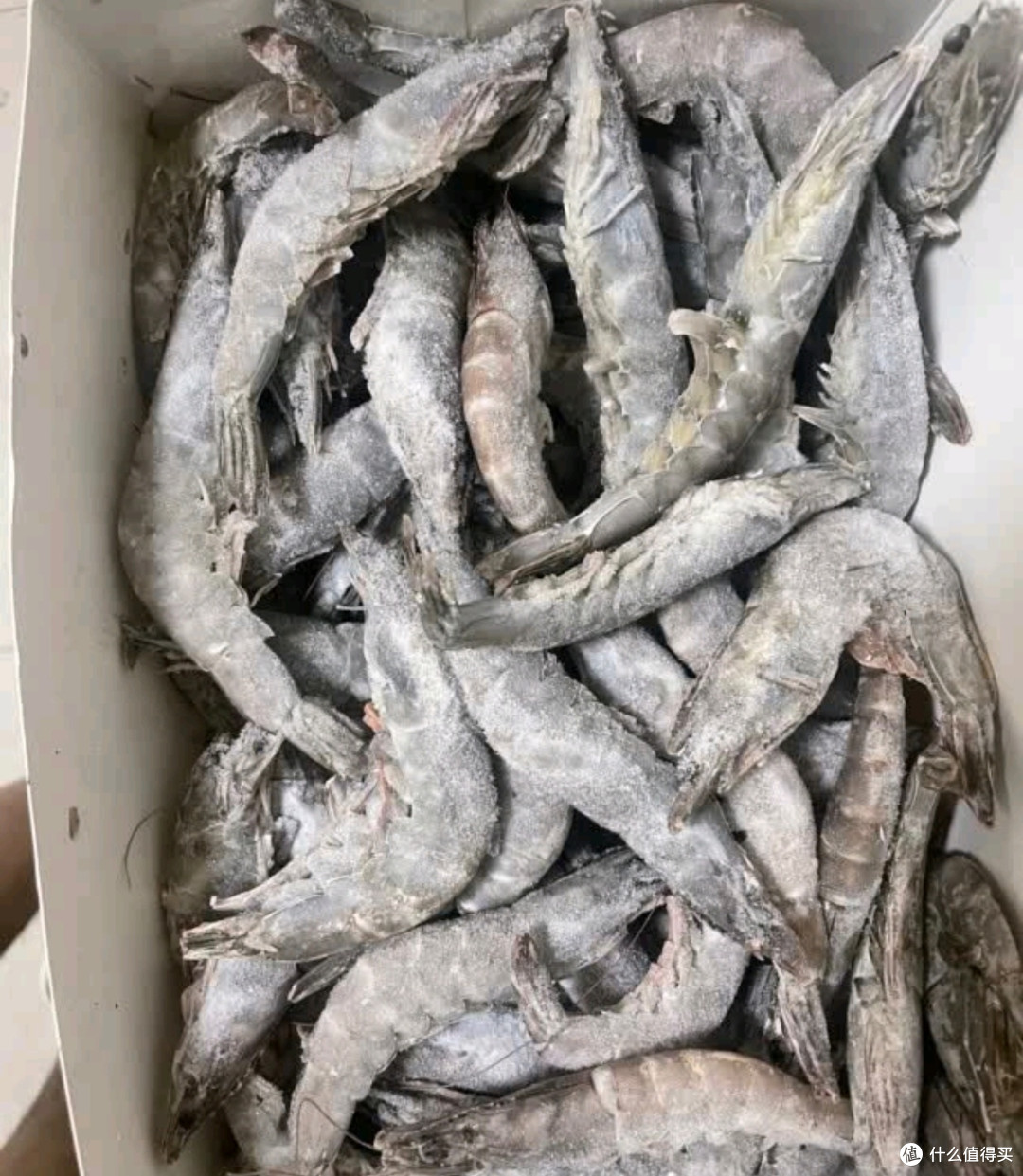 万景北海鲜冻白虾:烧烤聚餐的美味之选