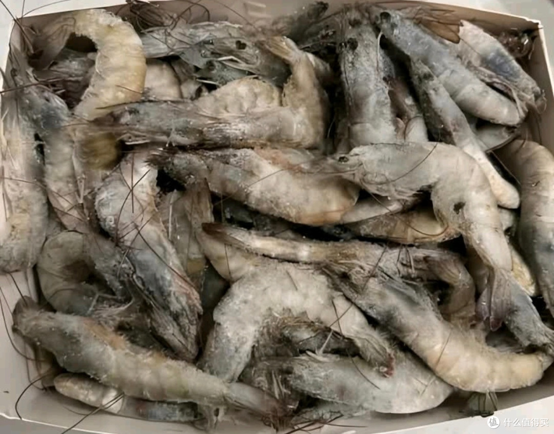 万景北海鲜冻白虾:烧烤聚餐的美味之选