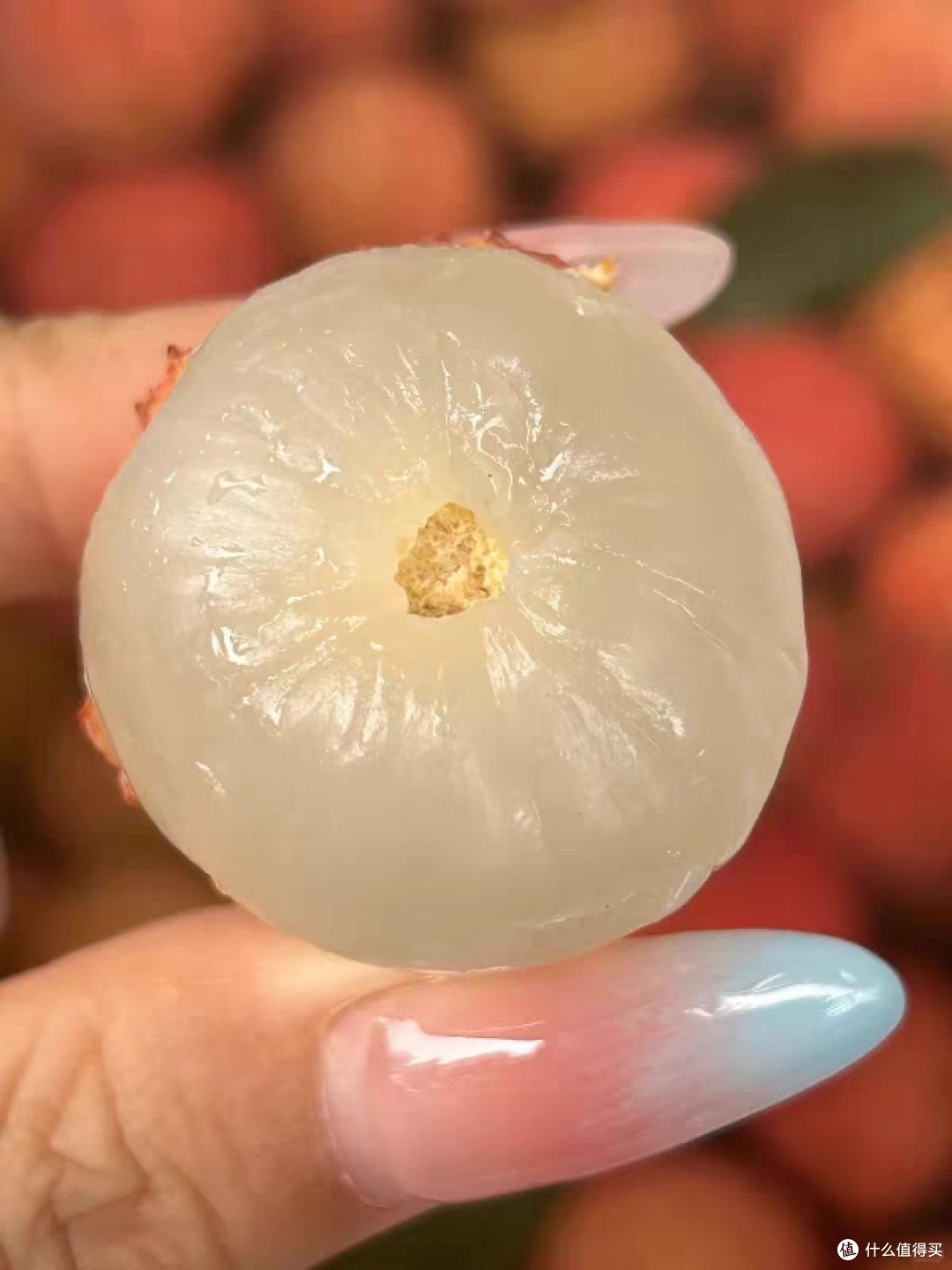 终于到了吃桂味荔枝的季节了！