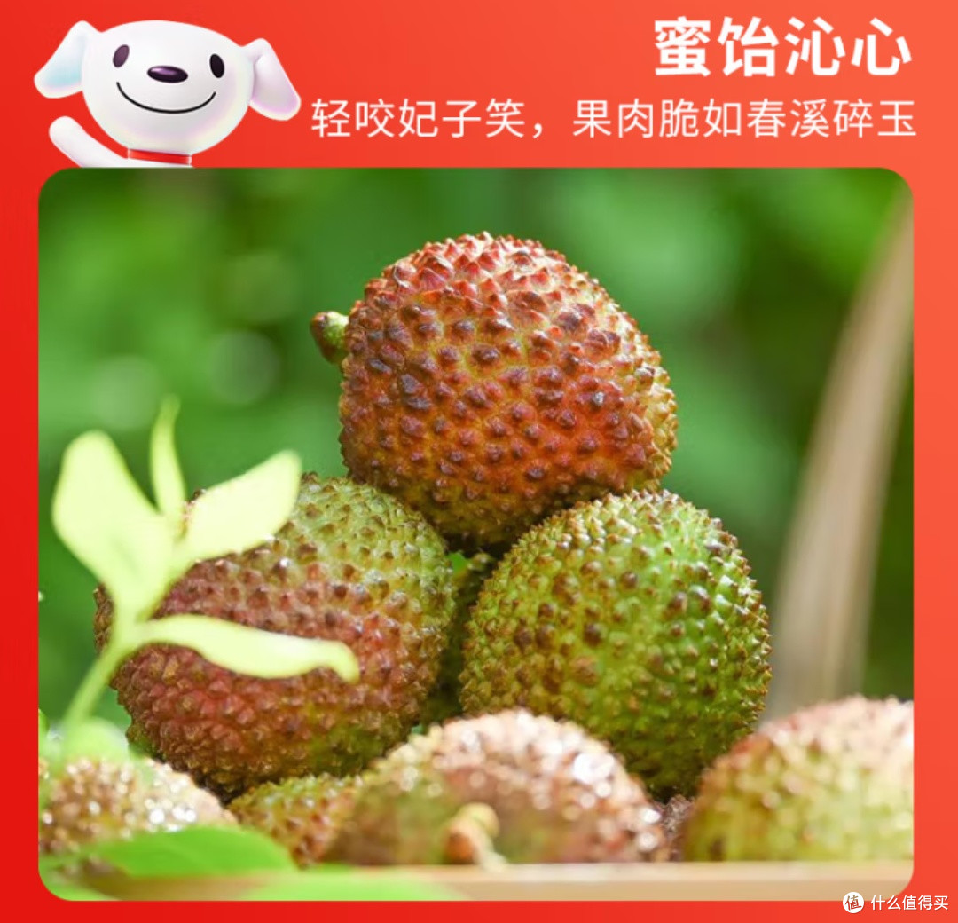 荔枝价格“疯”降七成!京鲜生妃子笑让我实现荔枝自由!