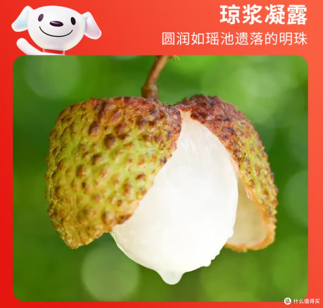 荔枝价格“疯”降七成!京鲜生妃子笑让我实现荔枝自由!