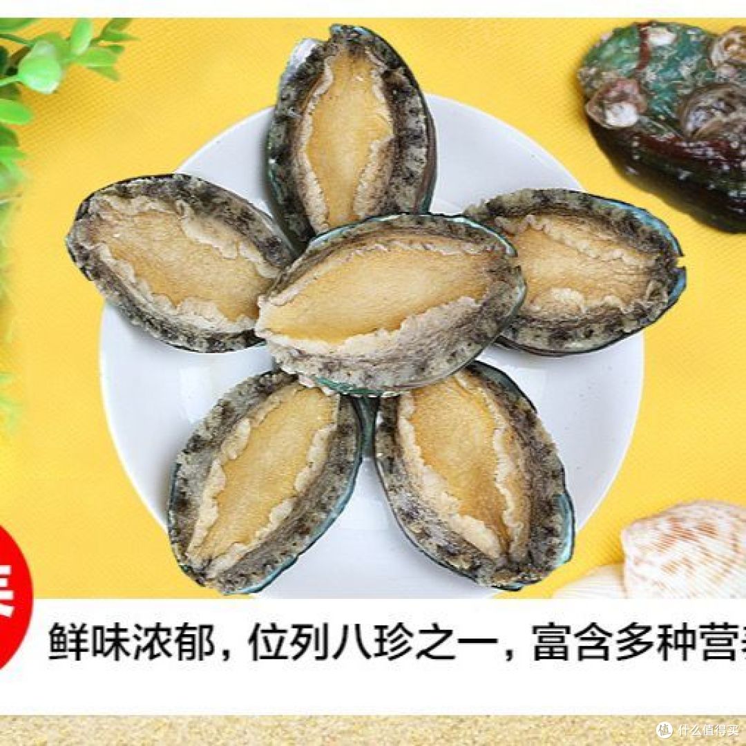皱纹盘鲍、九孔鲍与杂色鲍的区别?哪种鲜美好吃?