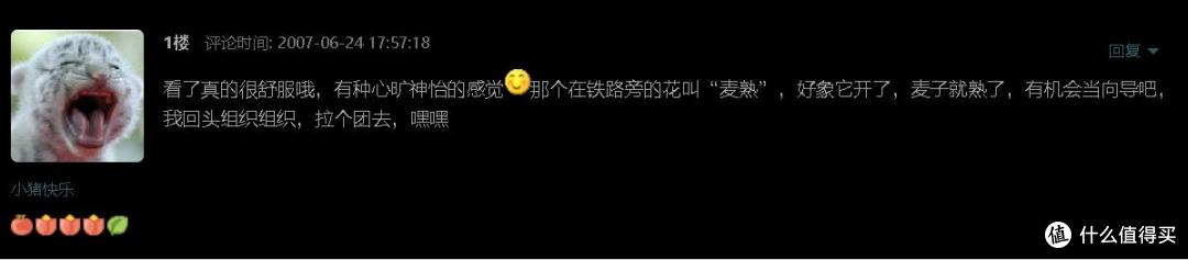 《巫师3》今年10岁了,写一写我痴迷它的近200小时