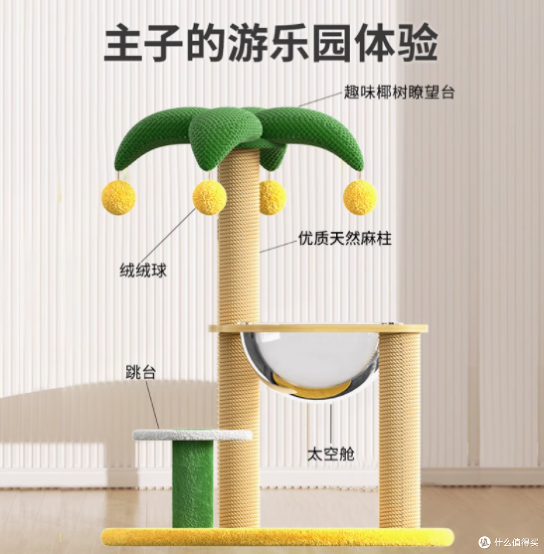 宠情旗舰店:猫咪的梦幻乐园,你的理想之选