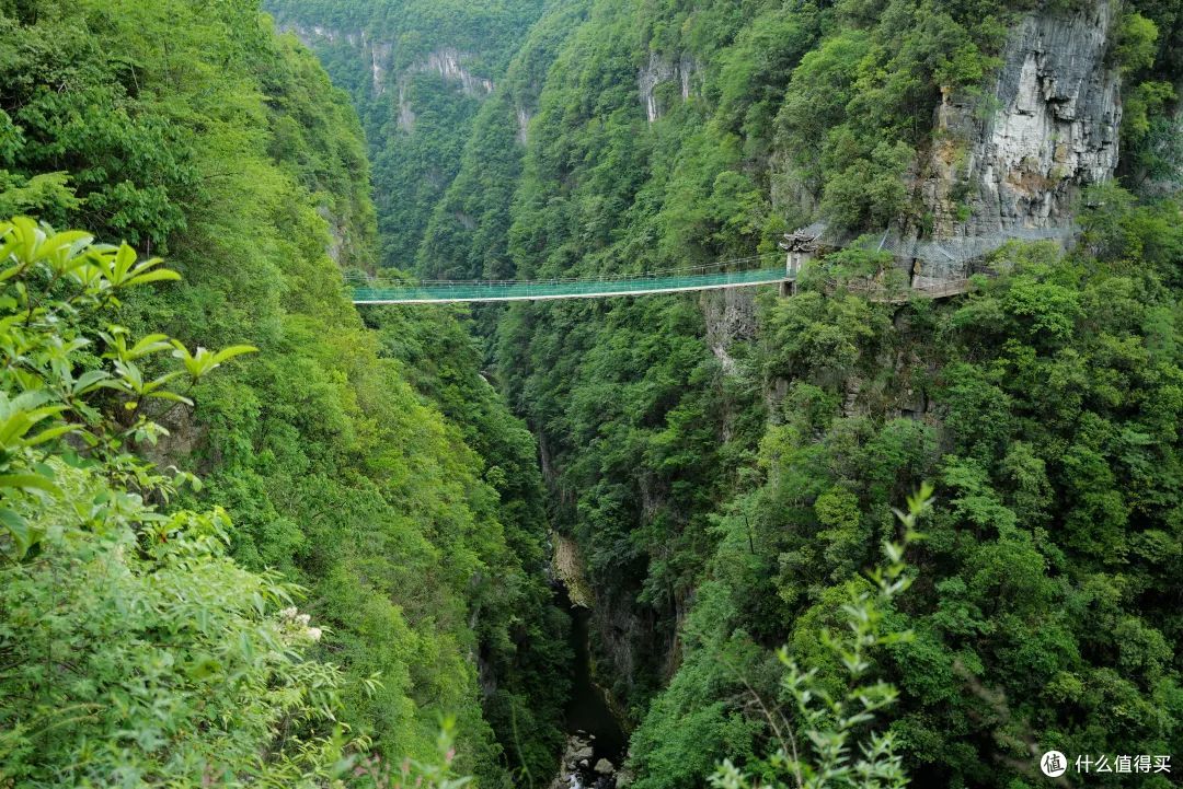 毕业旅行去哪里,推荐这个超绝的避暑胜地,限定免票啦!