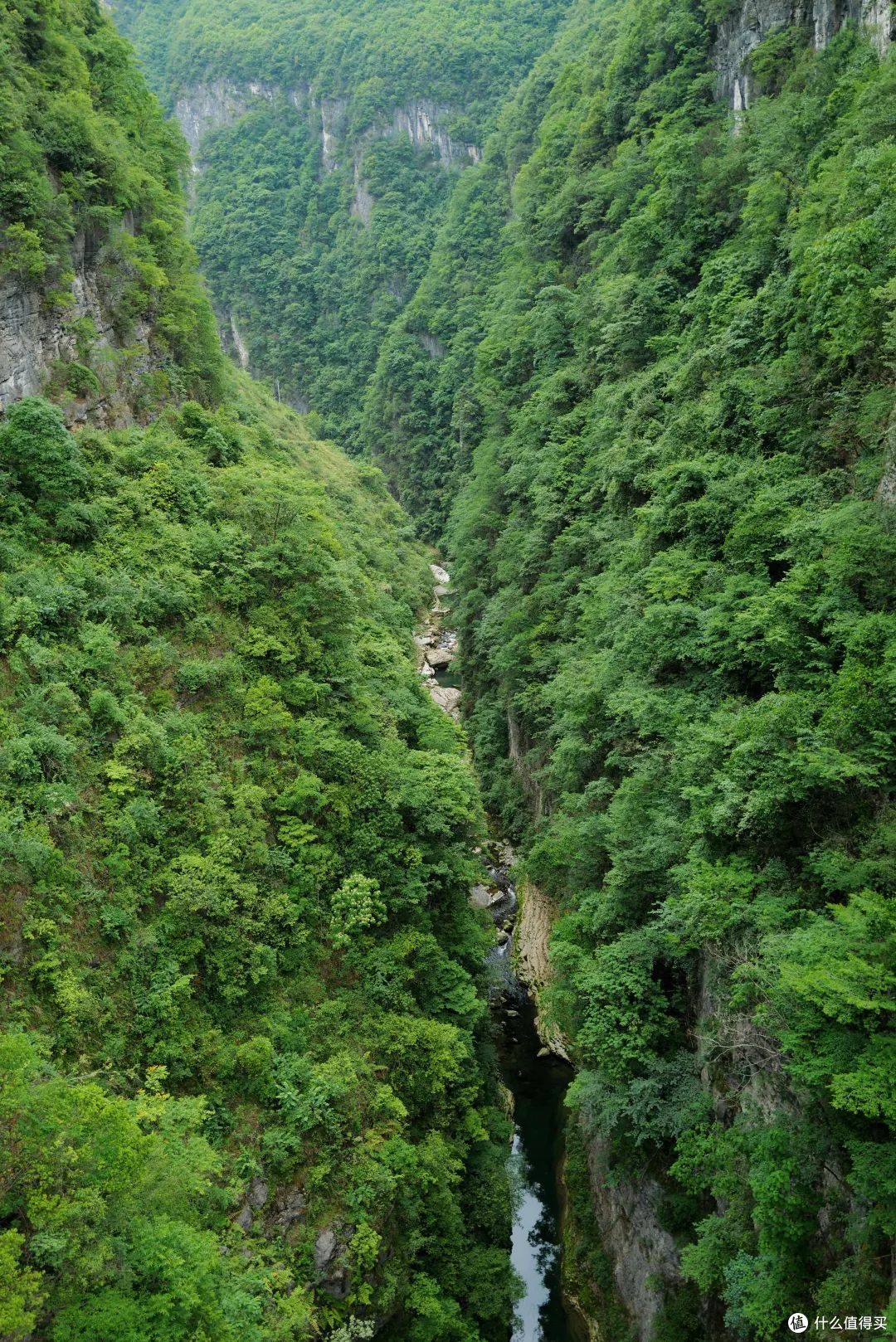 毕业旅行去哪里,推荐这个超绝的避暑胜地,限定免票啦!
