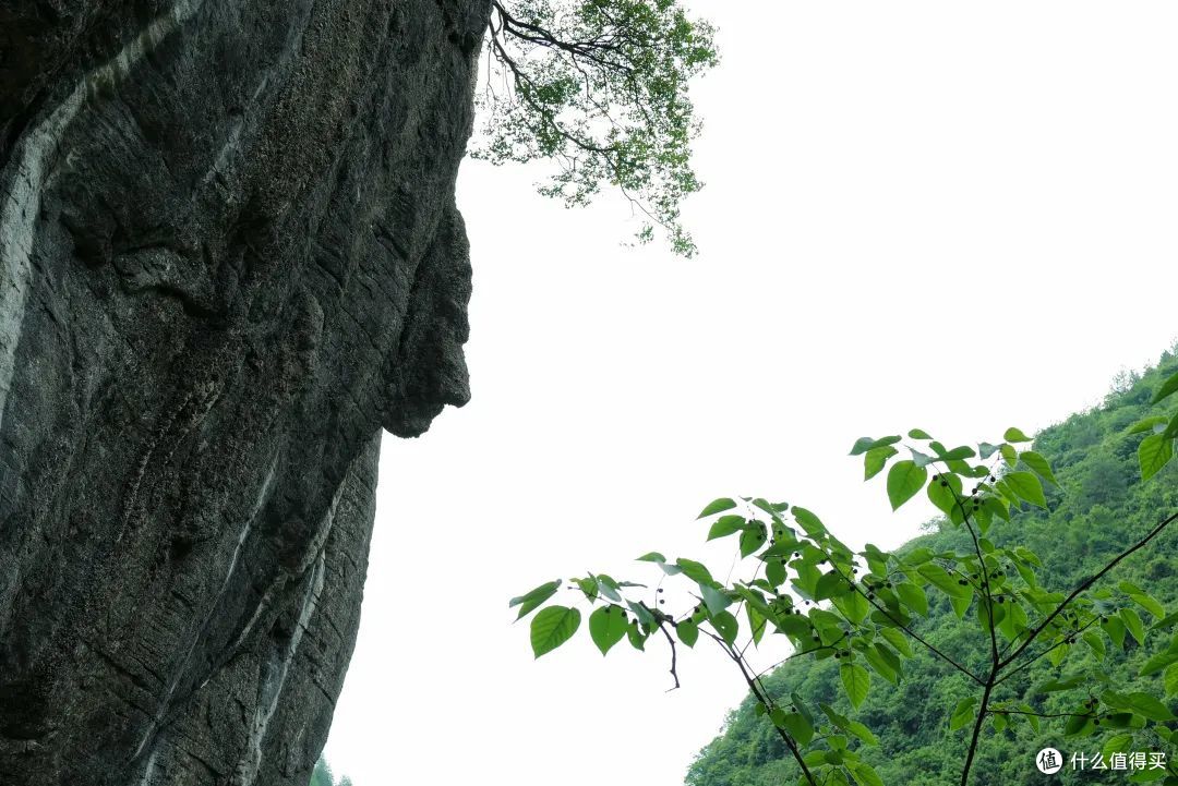 毕业旅行去哪里,推荐这个超绝的避暑胜地,限定免票啦!