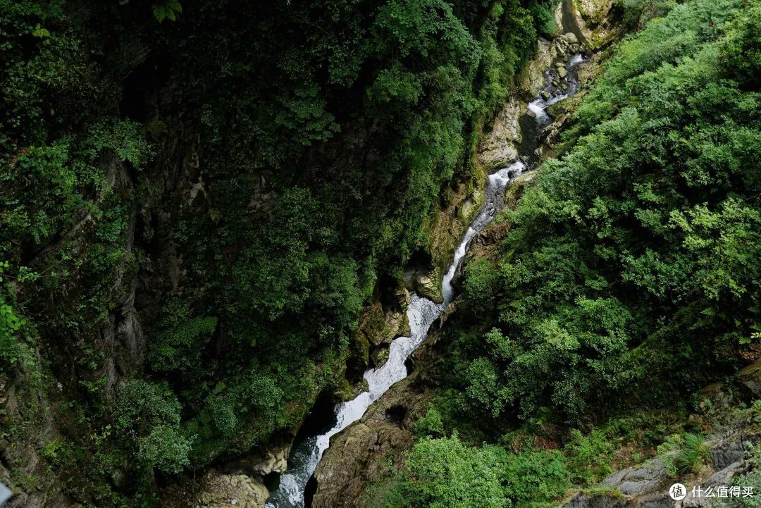 毕业旅行去哪里,推荐这个超绝的避暑胜地,限定免票啦!