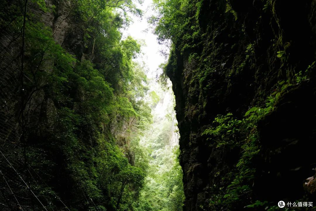 毕业旅行去哪里,推荐这个超绝的避暑胜地,限定免票啦!