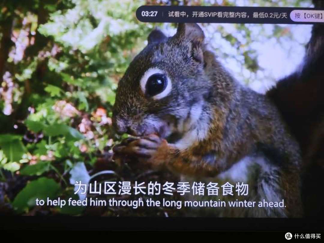 千万不要买投影仪，怕你用了戒不掉啊，机薄如书的哈趣H3自用分享