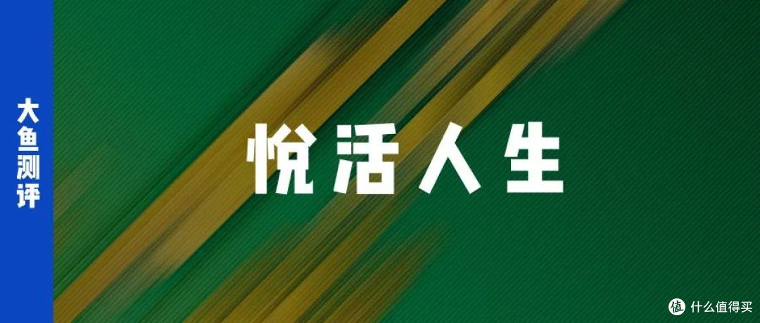 大鱼测评第1404篇原创