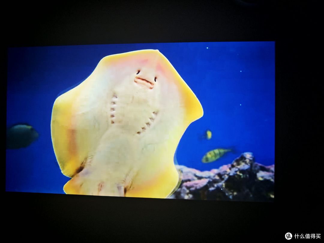 谁说百元没好货?哈趣 H3 实测:画质、智能全拉满,打破价格魔咒