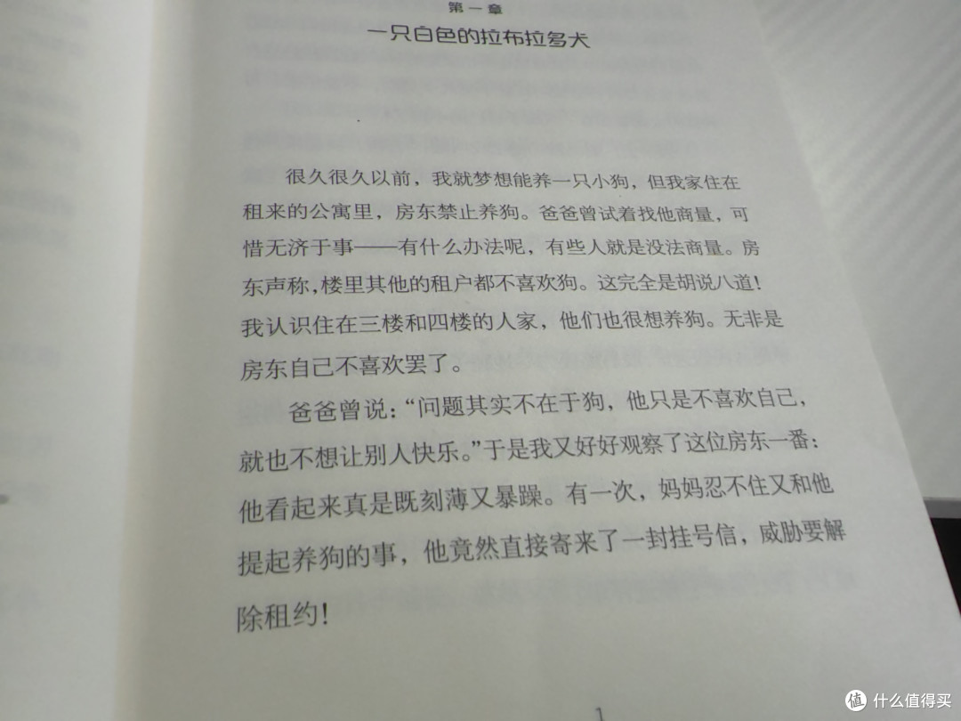 记录能量满满的周一