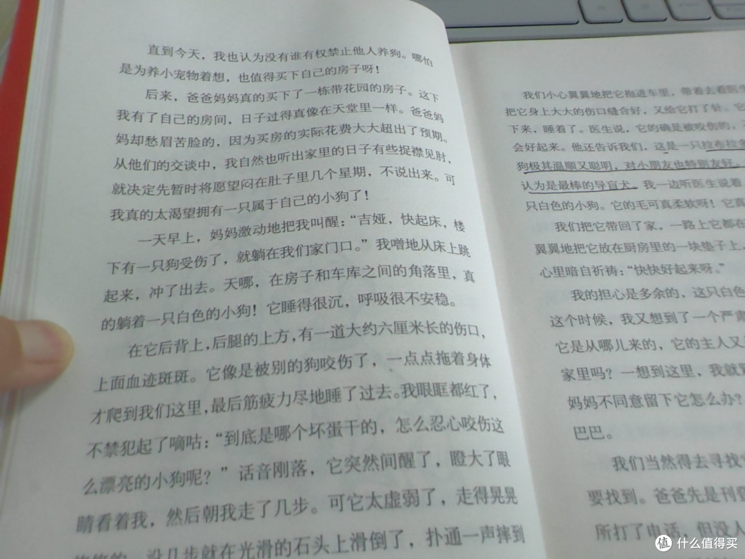 记录能量满满的周一