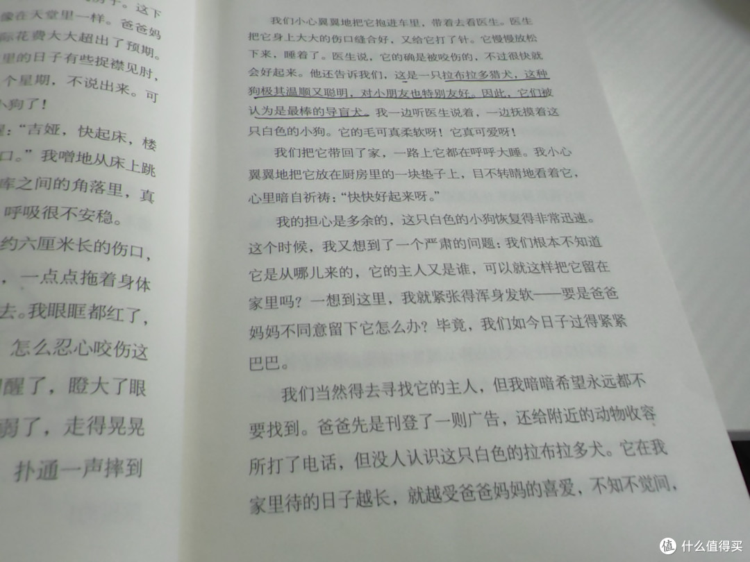 记录能量满满的周一