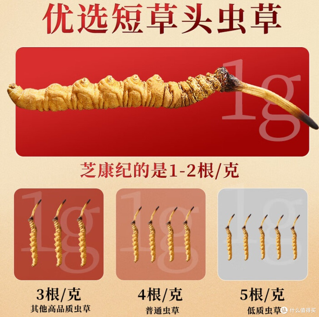 新手必看:冬虫夏草到底怎么挑?专家总结的5个关键点
