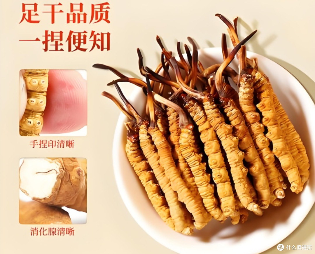 别再被忽悠了!冬虫夏草挑选全攻略,一看就懂,一用就灵