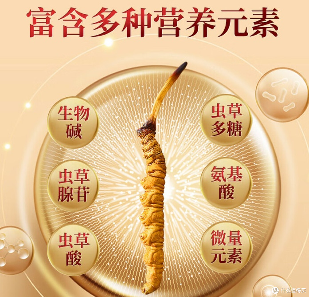 别再被忽悠了!冬虫夏草挑选全攻略,一看就懂,一用就灵