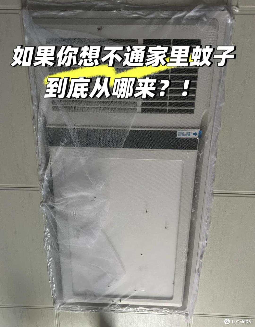 被年轻人的8个「防蚊大法」惊艳了！不花啥钱，根本不怕蚊子咬