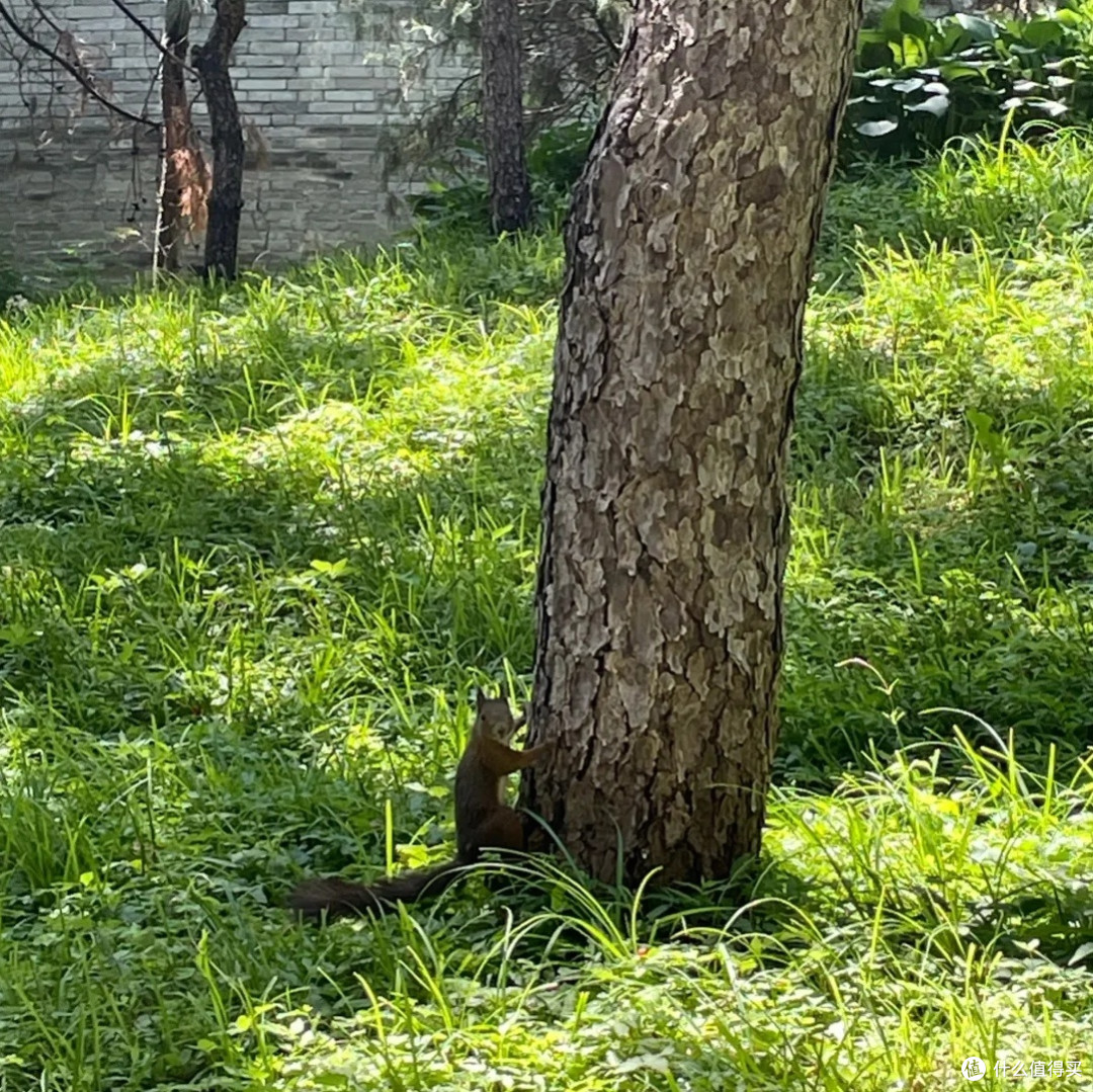 颐和园的千年风华与现代魅力:一次穿越时空的旅行