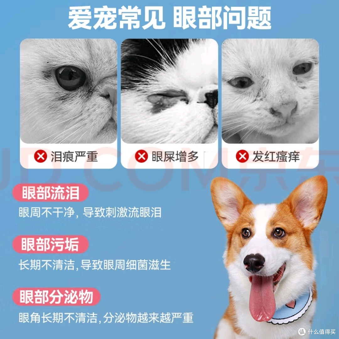 大容量湿巾解决多宠清洁难题
