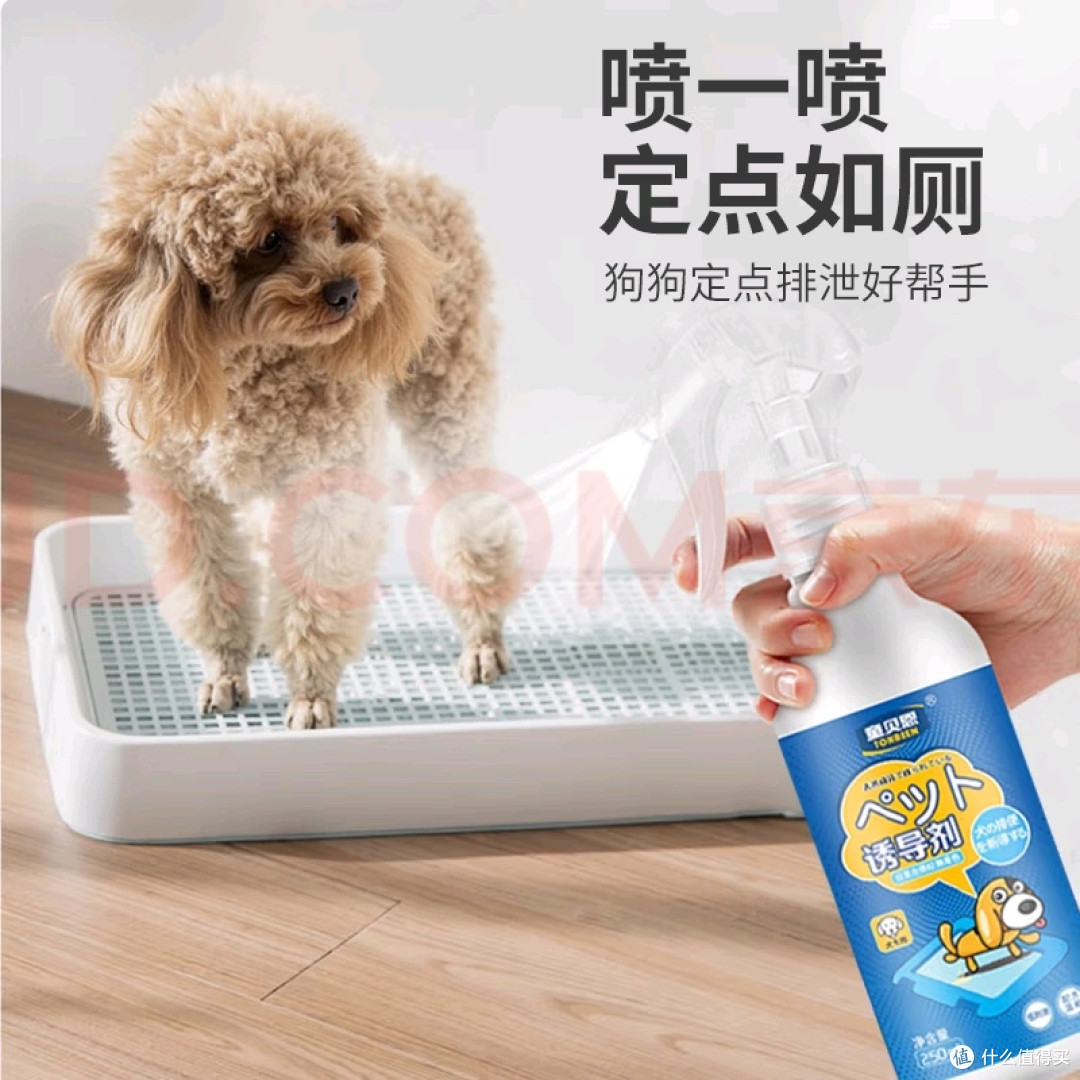 科学诱导剂提升宠物排便训练效果
