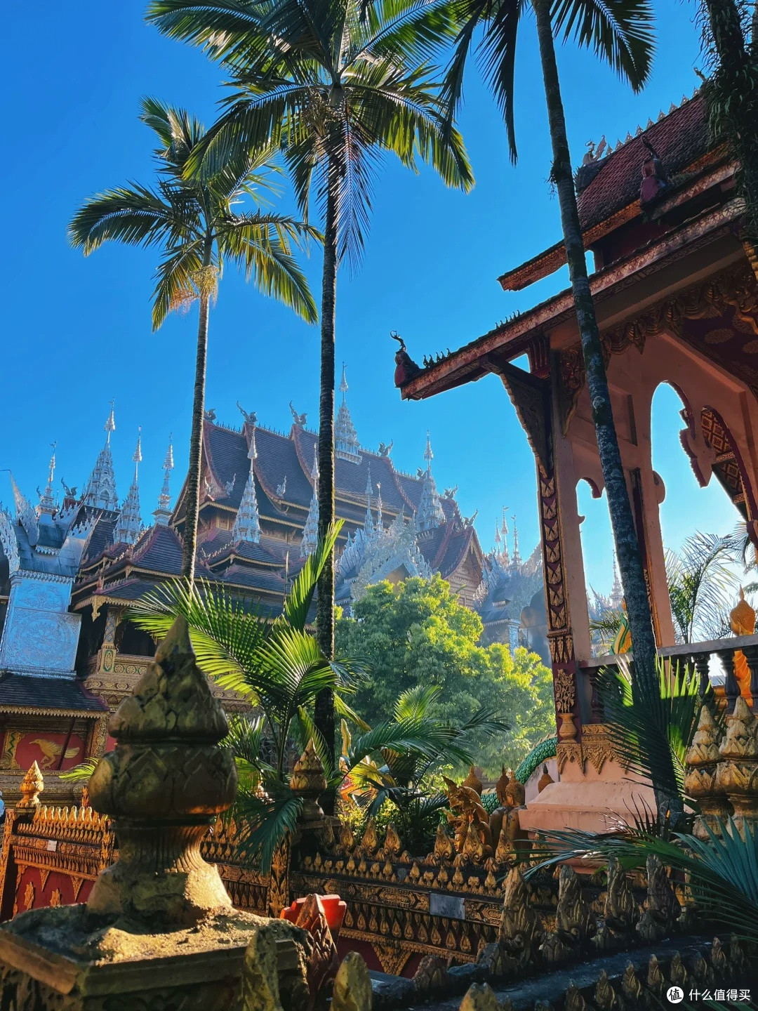 毕业旅行去西双版纳,真的泰酷辣