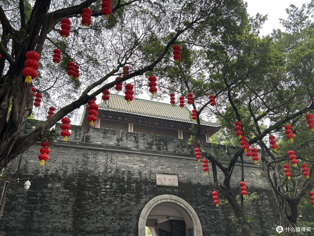 绿意盎然的城市绿洲:广州越秀公园探秘。