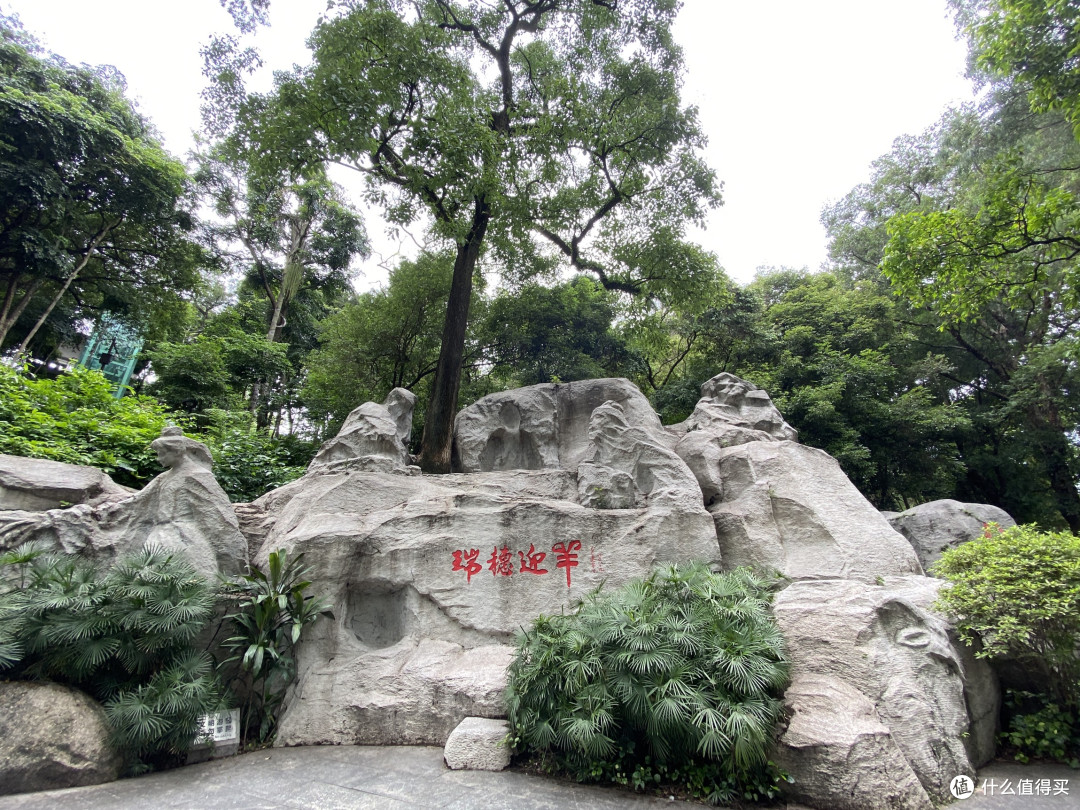 绿意盎然的城市绿洲:广州越秀公园探秘。