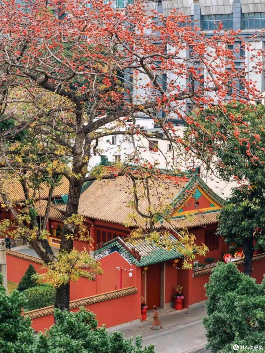 绿意盎然的城市绿洲:广州越秀公园探秘。